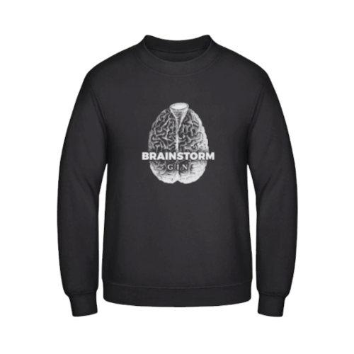 Brainstorm Pulli